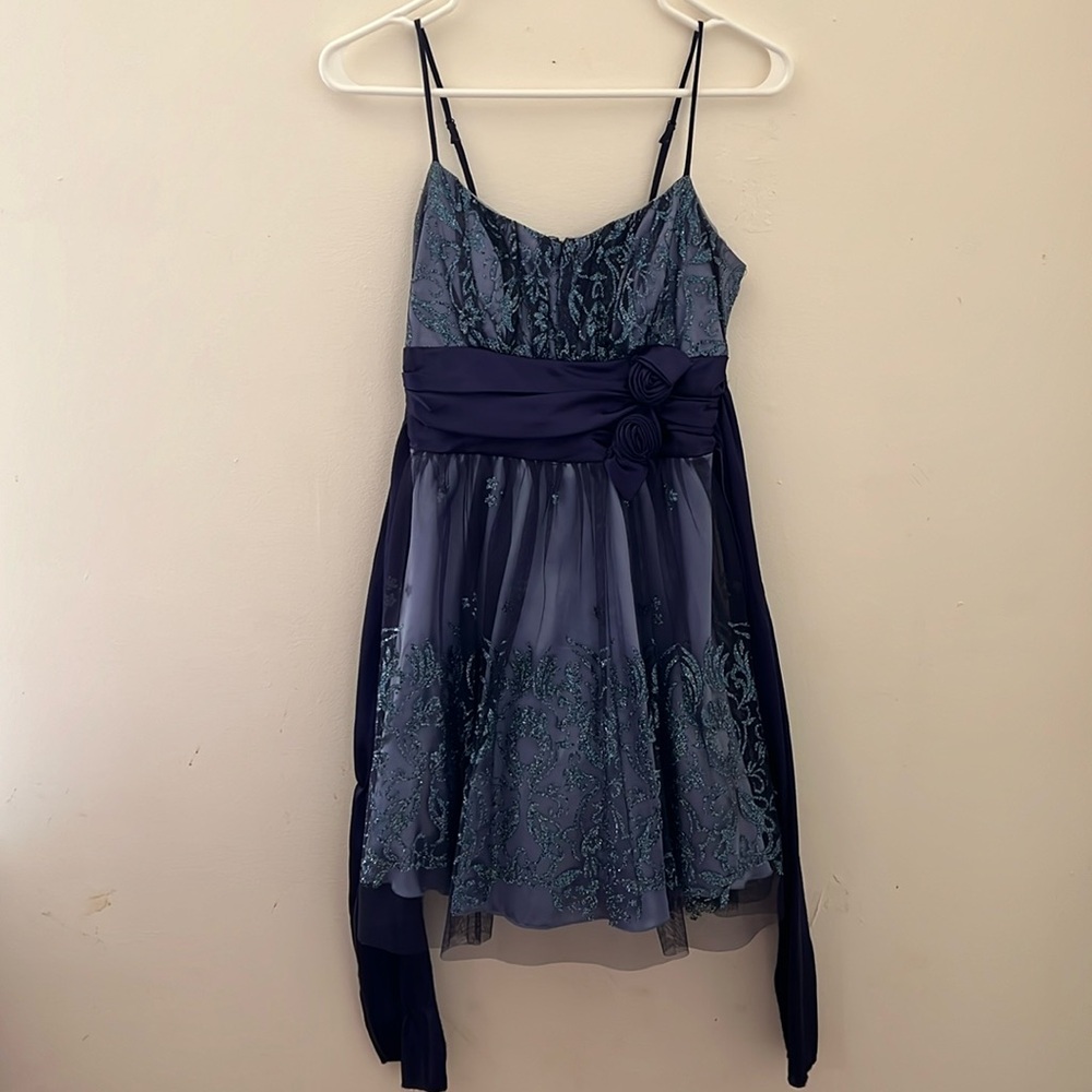 Party Dress Size 3 Satin/chiffon, with glittering accents and adorable flowers